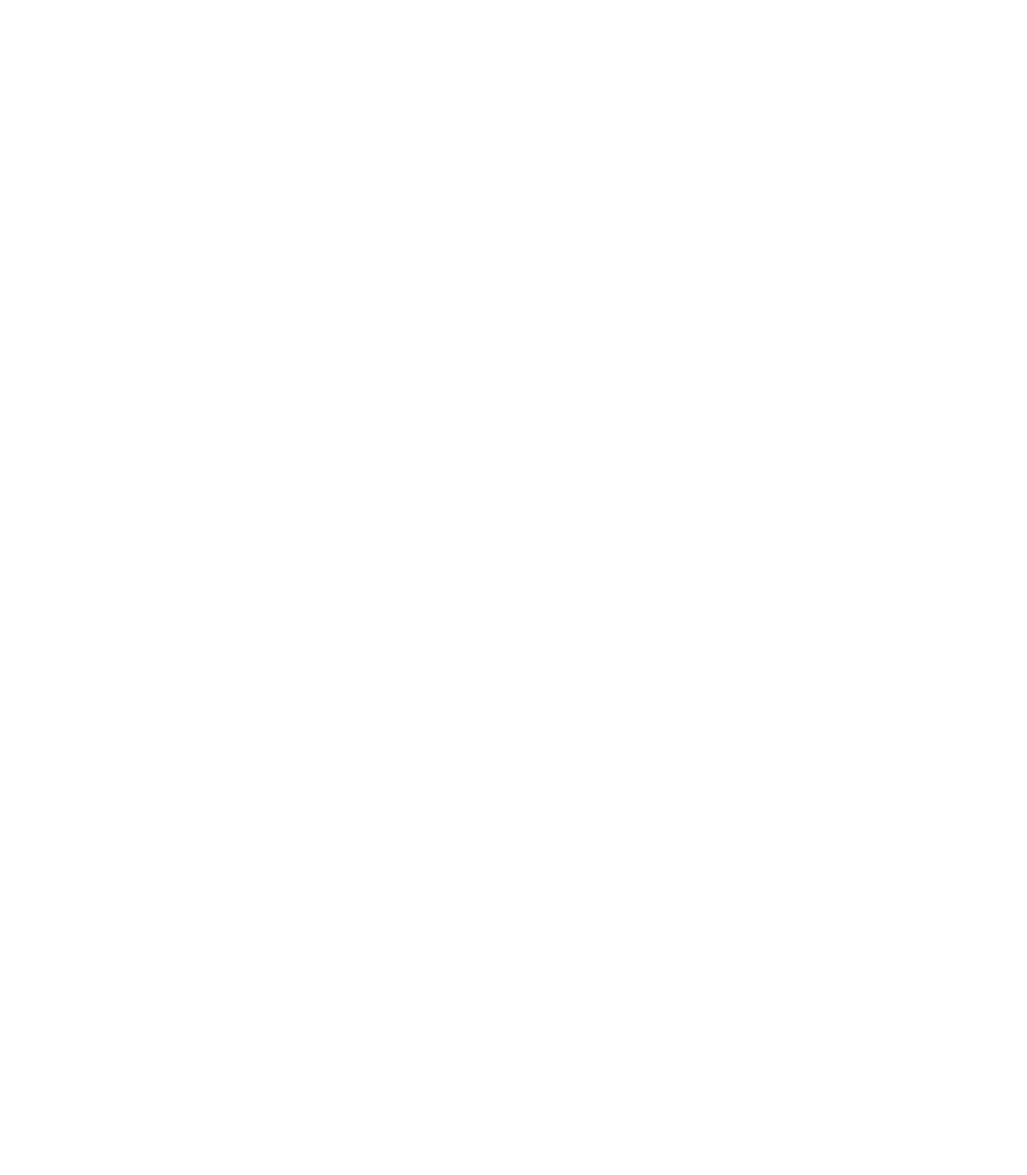 ZULKI Isologo blanco