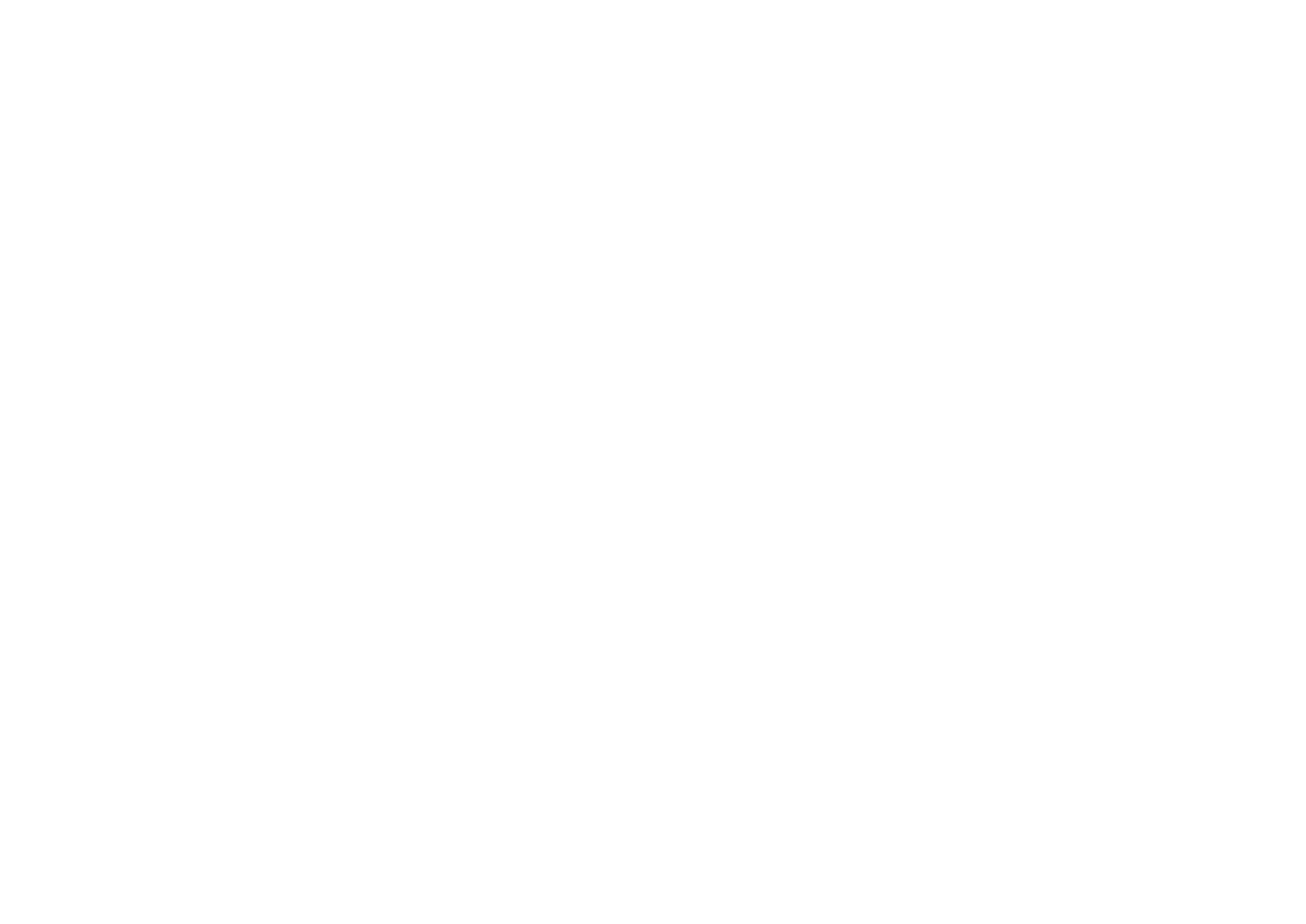 ZULKI logo blanco